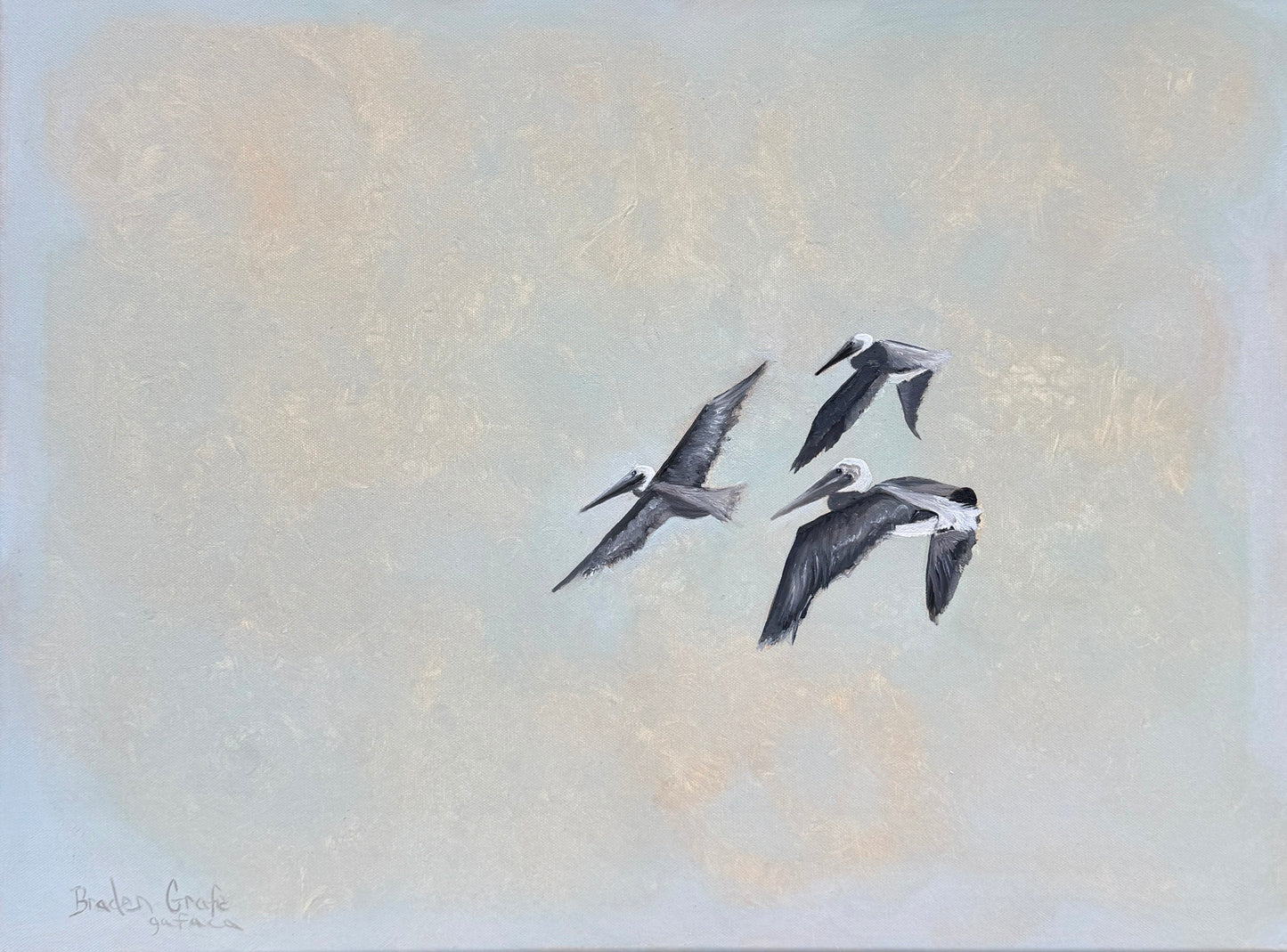 Three pelicans flying against a light, textured background