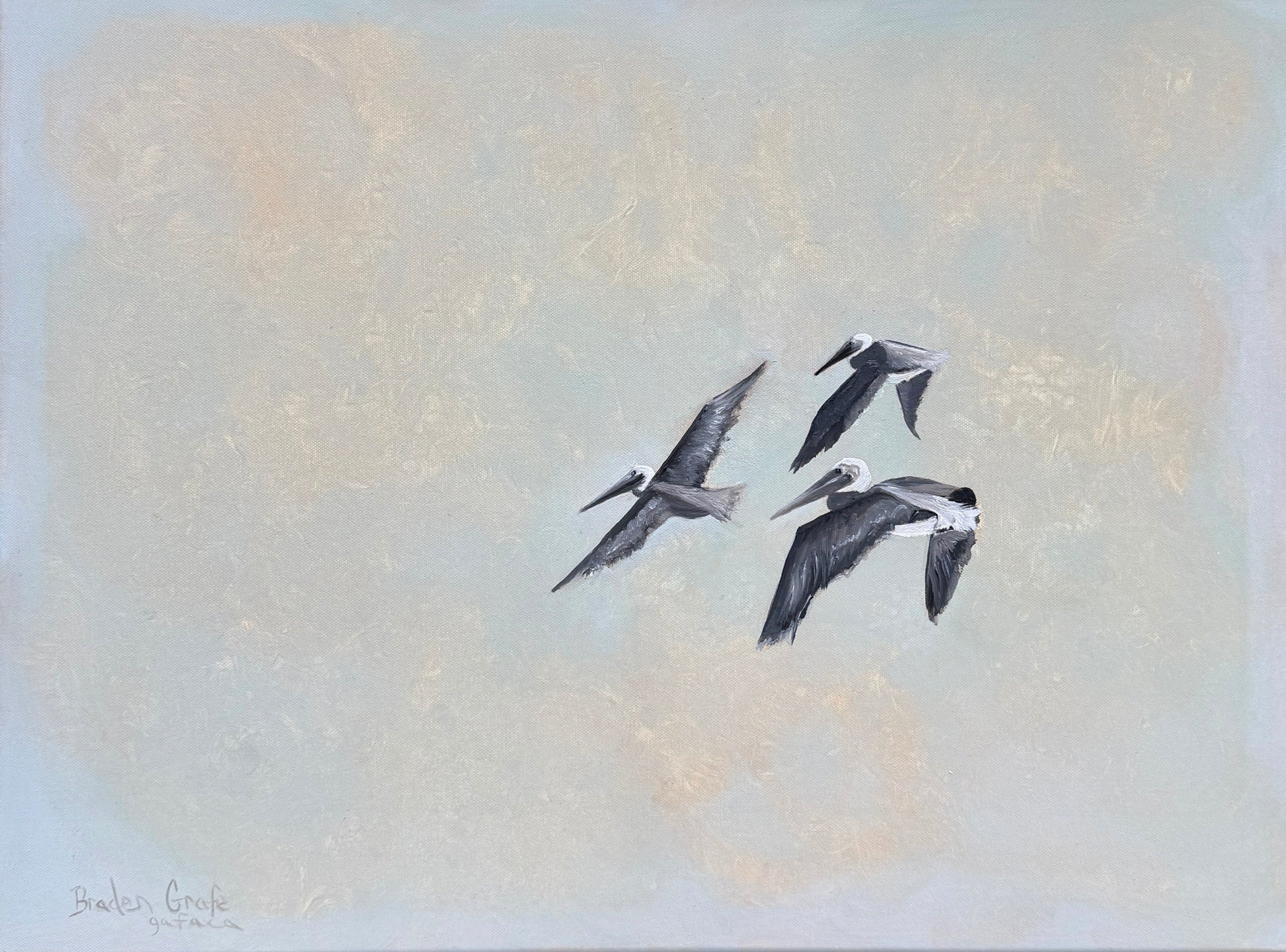 Three pelicans flying against a light, textured background